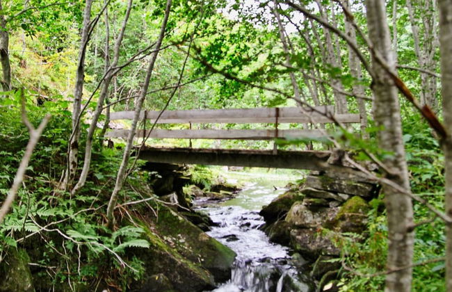 6 Person Holiday Home in Ovre Ardal - Foto 30