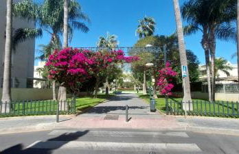 Málaga la Bella - Foto 31