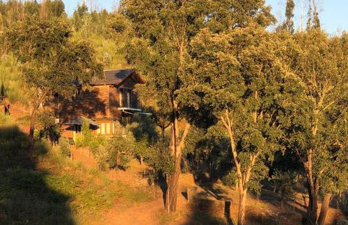 Casa da Menina - Photo 3