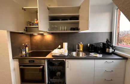 MiCasa TuCasa - 2-R-Apartment Leipziger Neuseenland Vega - Foto 18