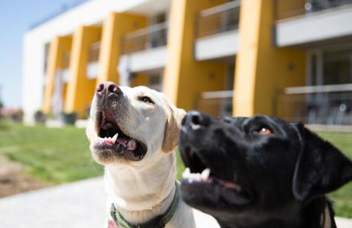 Cabeças do Reguengo - Foto 47