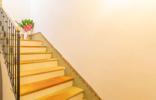 Es Moli Dels Reis in Sineu - Foto 24