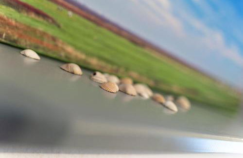 Ferienhaus Seestern I - Foto 11