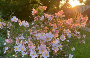 Thatched Brick House Near The River Schlei - Photo 18