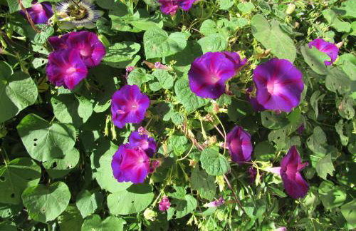 Villa Sky Dream - Foto 6