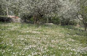 La Corte dei Rho - Photo 32