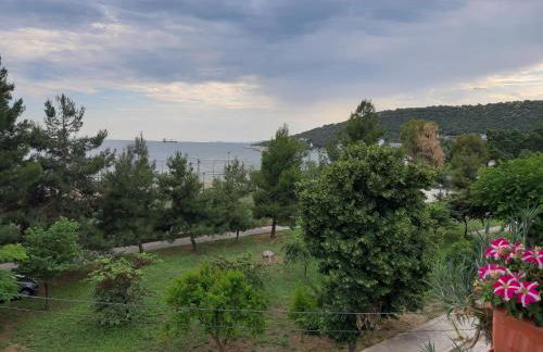 Soula's sunshine big Apartment - Photo 16