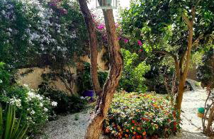 Bay Tree Villa - Main House Almyrida - Foto 32