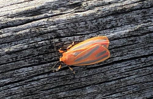 Fishers Of Men Ranch Home - Photo 36