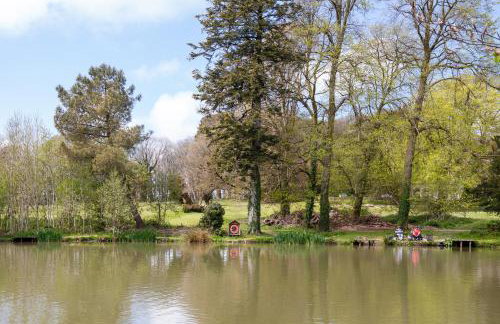 Cornish Holiday - 91 Hengar Manor - Foto 23