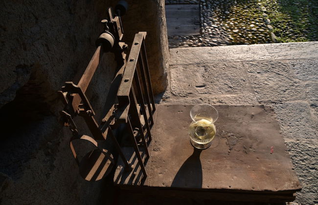 Roseto del Drago - Foto 55