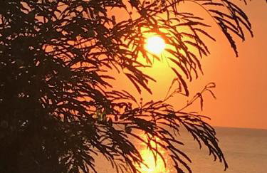 Résidence Roc e Mare - Foto 64