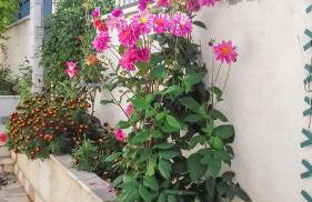 Apartments Kastelani - Photo 9