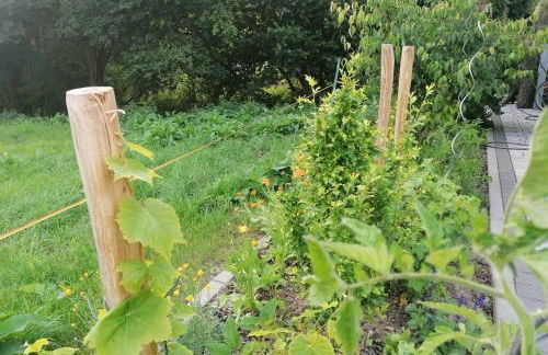 Villa Hinterland - Foto 12