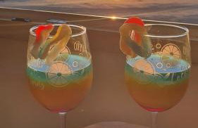 l'echo des vagues ,face mer, vue imprenable, appartement pour 2 à 4 personnes - Foto 15