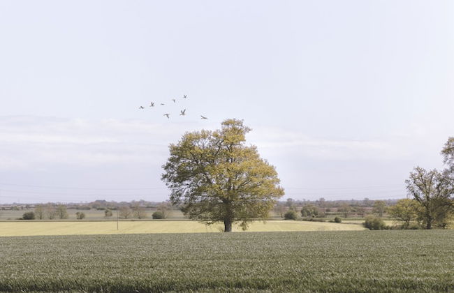 Dog Friendly Shepherd's Hut, Perfect for Couples - Photo 39