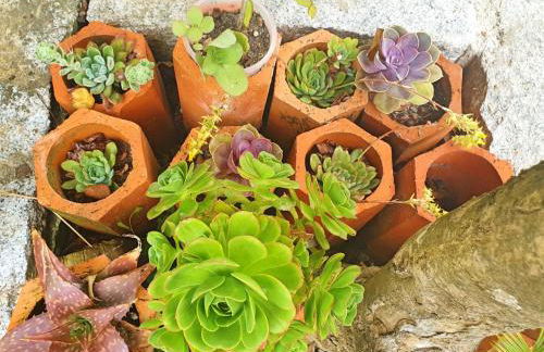 Casa das Hortênsias - Foto 46