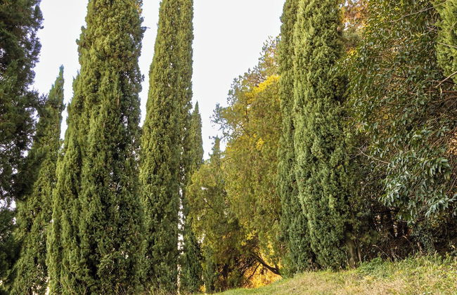 Villa Col di Luna-ProseccoHills - Photo 46