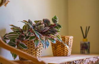 Le Jardin Suspendu - Foto 34