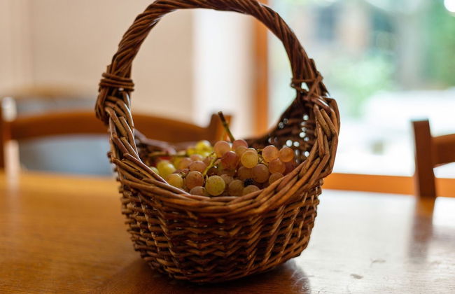 Holiday Home in Tautavel Near Gorges de Gouleyrous - Foto 23