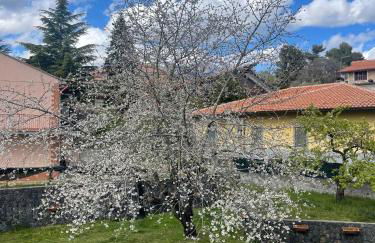 Etna sotto il ciliegio - Foto 1