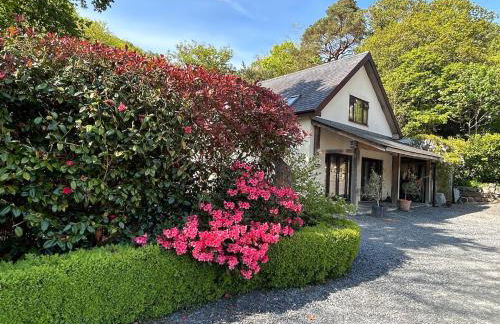 Mawddach View, Snowdonia Hot tub & Pet friendly - Foto 24