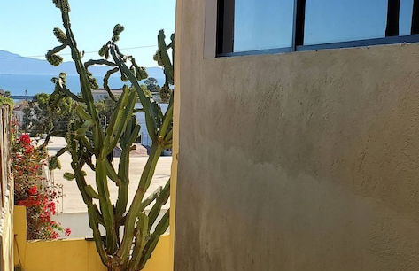 Casa Playitas - Vista Al Mar With Ozon, Locacion Centrica - Photo 50