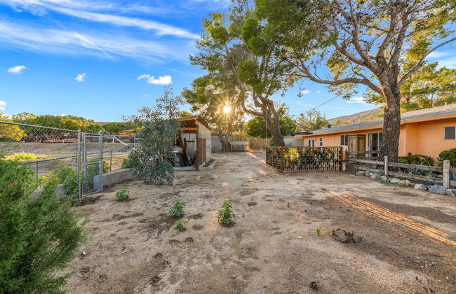 The Juniper - Foto 47