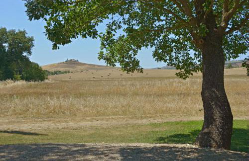 Azienda Agricola Chiarentana - Foto 21