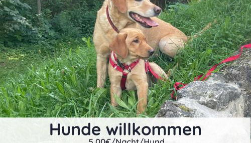 Der Fuchsbau - 3 separate Blockhäuser - ruhige Lage - 50m bis zum Wald - eingezäunter Garten - Foto 5