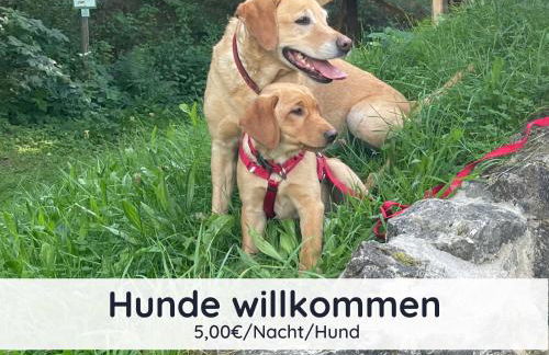 Der Fuchsbau - 3 separate Blockhäuser - ruhige Lage - 50m bis zum Wald - eingezäunter Garten - Foto 5