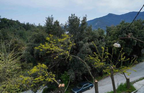 InGreen apartment - Foto 44