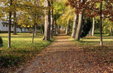 Ferienwohnung Paula - Foto 21