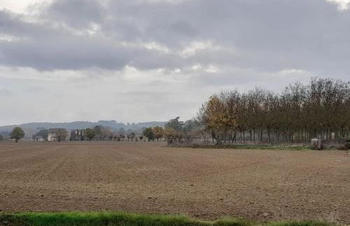 Montepulciano - La Casetta del Pian delle Noci - Foto 51