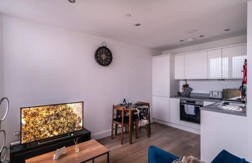 Stay Zeni, Alexandra Rise Manchester Fab Studio - Foto 12