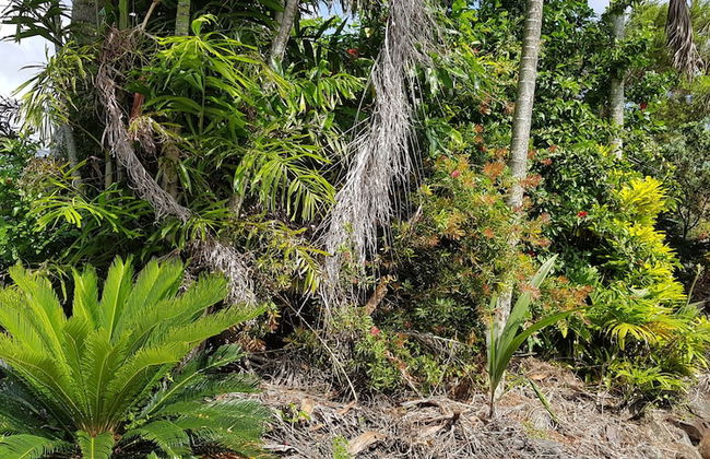 Hay Point Country B&B - Foto 15