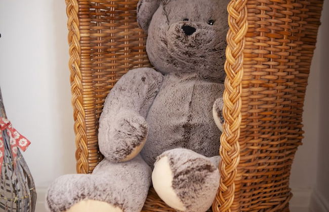 The Cherries - Photo 10