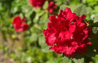 Quinta de Ribas - Foto 63