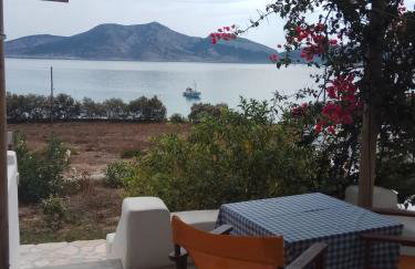 Ammos Studio - Foto 3