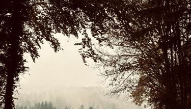 Superbe appartement au coeur du Jura - Foto 3