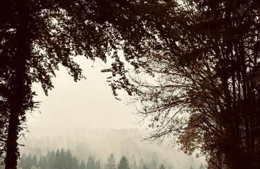 Superbe appartement au coeur du Jura - Foto 3