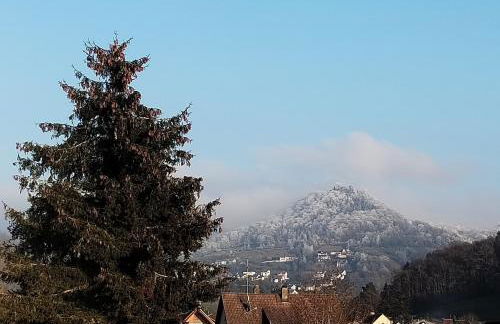 Studio "Küssaburg-Blick" - grosse Dachterrasse - Boxspringbett - nahe Therme Bad Zurzach, CH - Foto 17