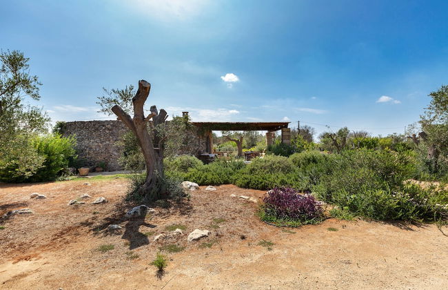 2072 Trulli li Corsari - Trullo Piccolo by Barbarhouse - Foto 27