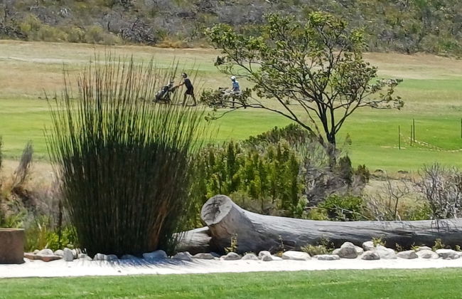 Kleinmond Panorama Holidays - Photo 25