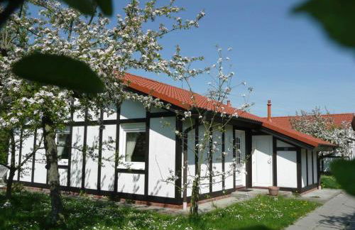 Ferienhaus Kogge im Feriendorf Altes Land - Photo 4