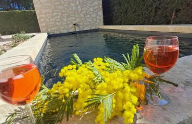 La maison de Manon, 4-5personnes, 75m2, centre village avec piscine privée - Foto 1