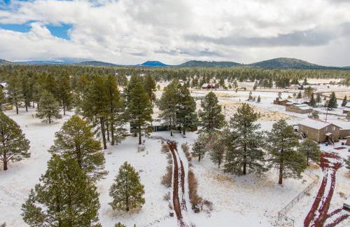 Wild Bill Retreat Treehouse Acre of Fun Near Grand Canyon Williams - Foto 44