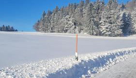 Ferienbungalow Sonnenwald Bayerischer Wald - Foto 2