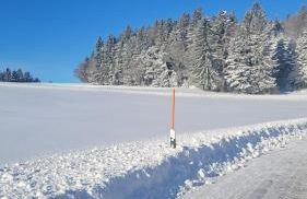 Ferienbungalow Sonnenwald Bayerischer Wald - Foto 2