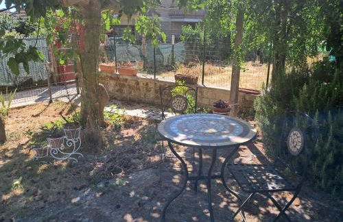 JasmimdoBrasil - Foto 45